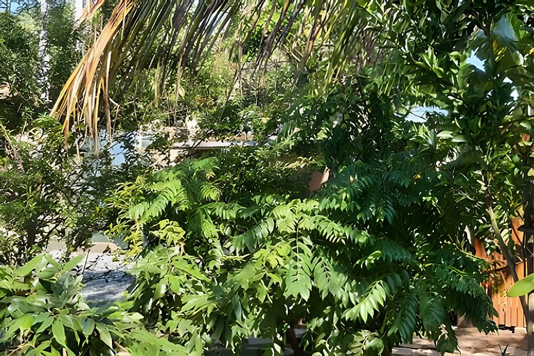 Viver a Ilha – Casa 4 Quartos a 250m do Mar