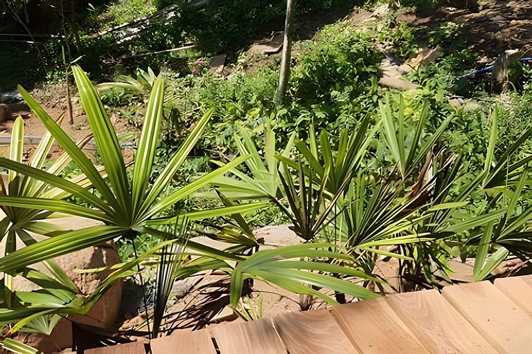 Viver a Ilha – Casa a 92m do Mar, 2 Quartos