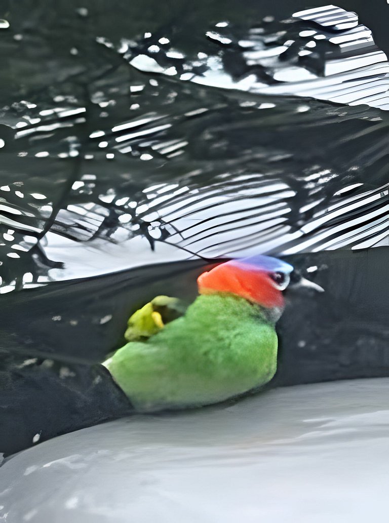 Viver a Ilha – Casa a 92m do Mar, 2 Quartos