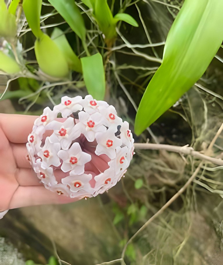 Viver a Ilha – Chalé Equipado Perequê 250m Mar