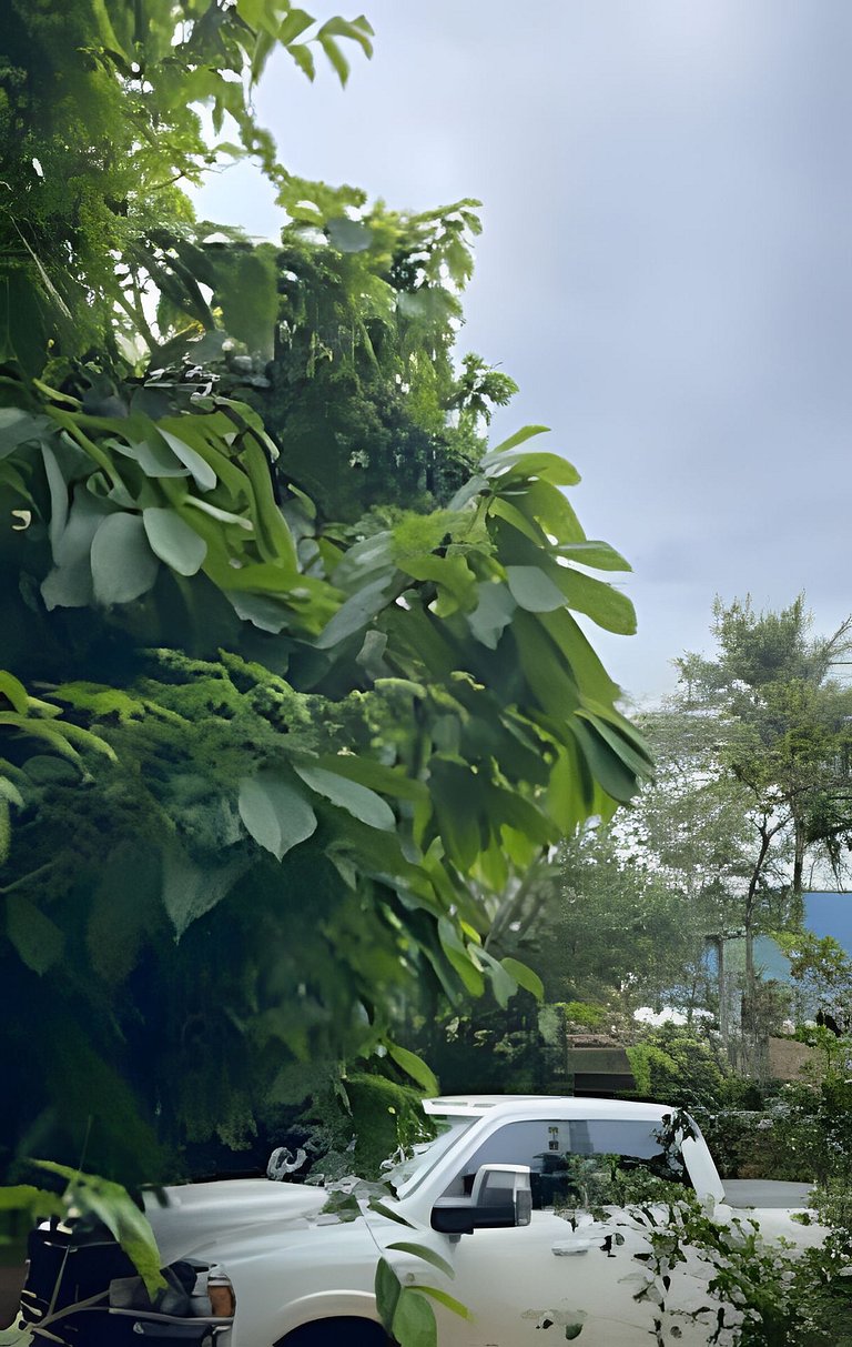 Viver a Ilha – Chalé Equipado Perequê 250m Mar